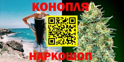 трава Кингисепп