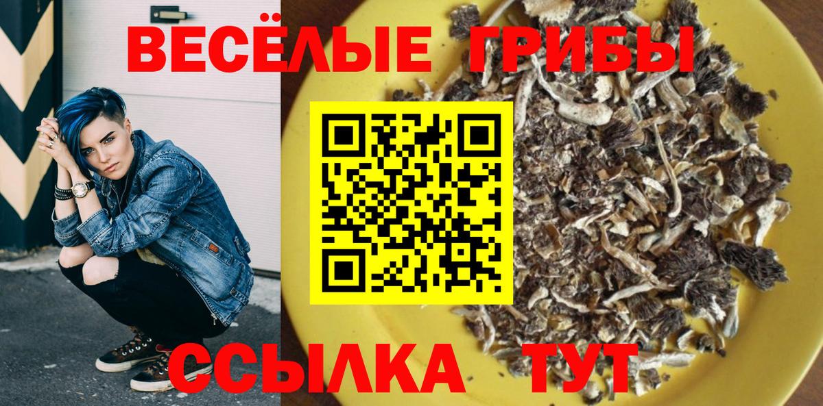 где можно купить   Галлюциногенные грибы мицелий  Вход с VPN  Кимры 