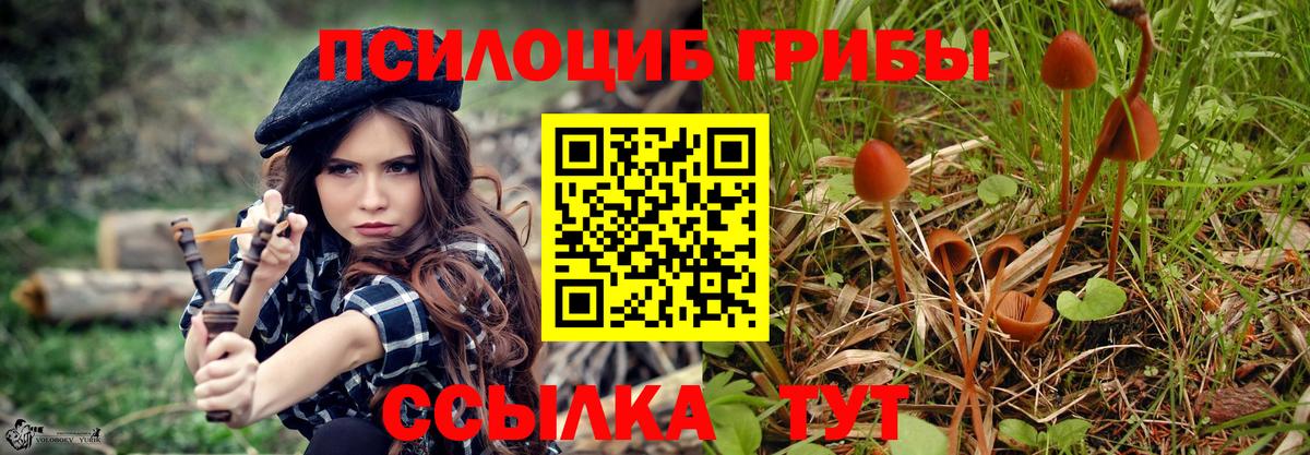 Галлюциногенные грибы прущие грибы Кимры